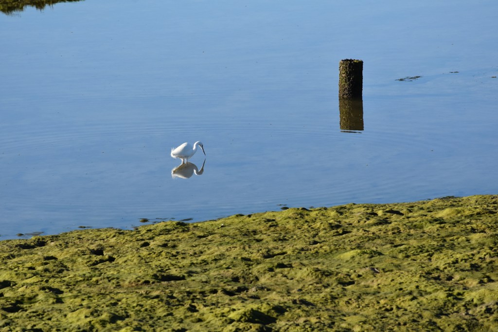 Walking the Ludo Hiking&nbsp;Trail