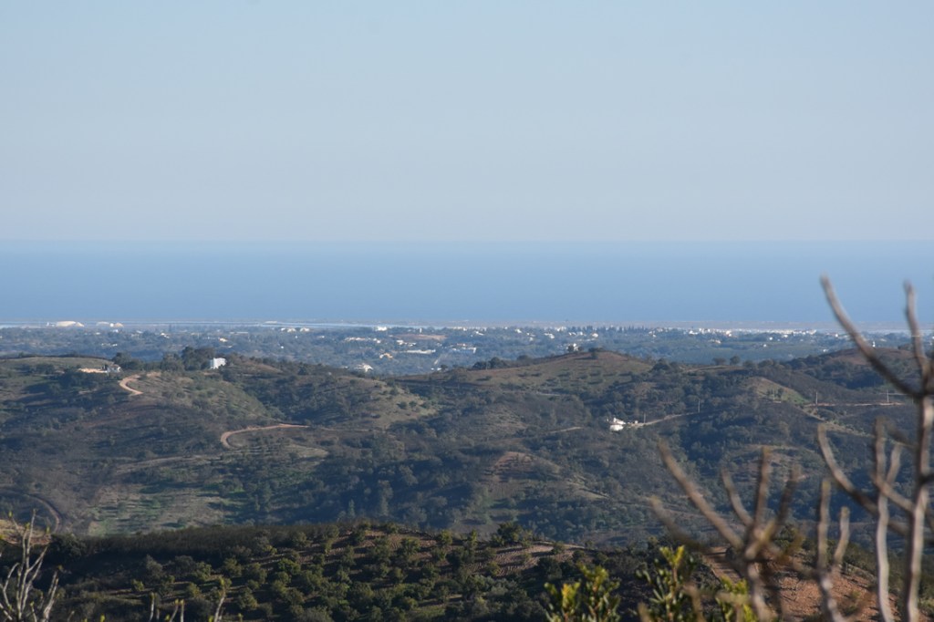 Mountain top gastronomy