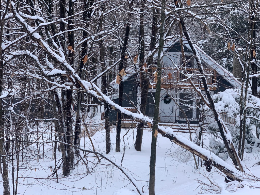 2020 Vision: Portugal&nbsp;Again!