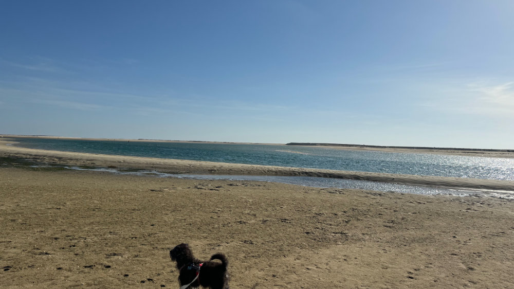 The Fuseta Salt Flats &&nbsp;Beach