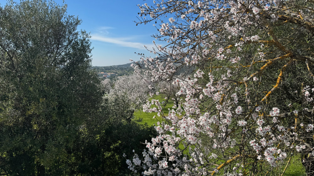 January melds into&nbsp;February