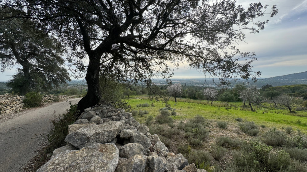 From the valley, to the&nbsp;mountain…