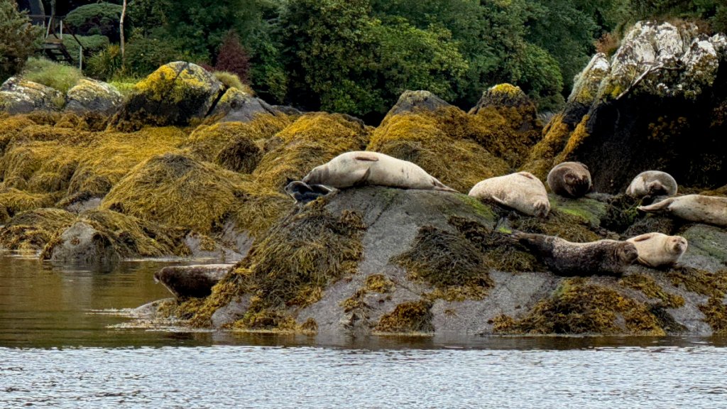 Ouvane Falls and Ilnacullin/Garinish Island