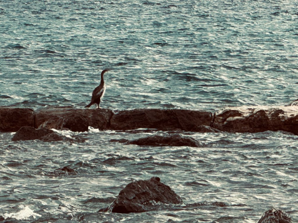 Birthdays come but once per year…thankfully